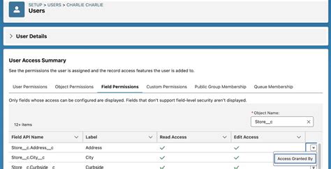 salesforce acceso usuario.